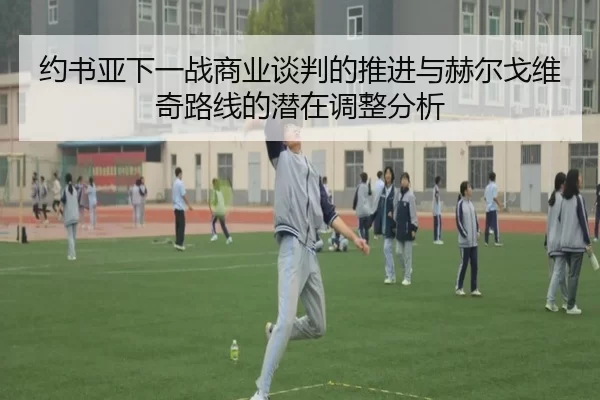 约书亚下一战商业谈判的推进与赫尔戈维奇路线的潜在调整分析